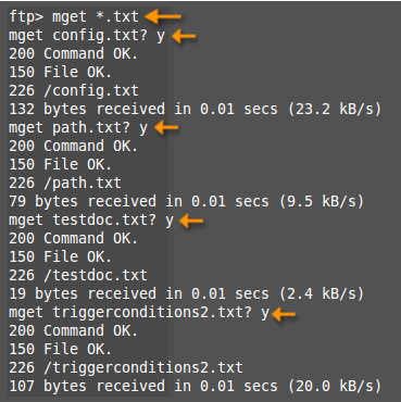 downloading using wildcards