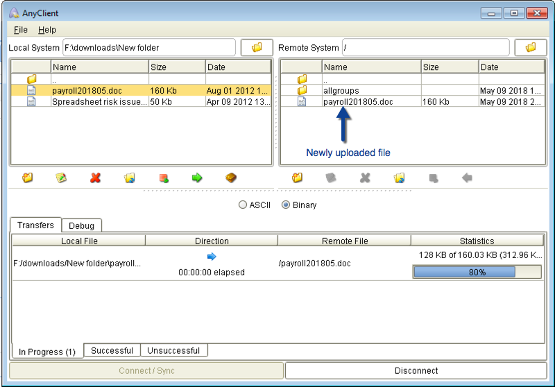 joey newly uploaded file mft server